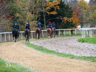 BP011124-58 - Ben Pauling Stable Visit